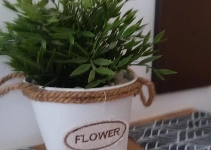 Deluxe Marina Cape 4 Stars 33 5 *